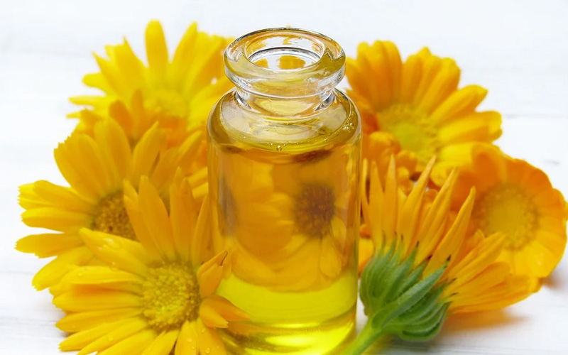 Ringelblume